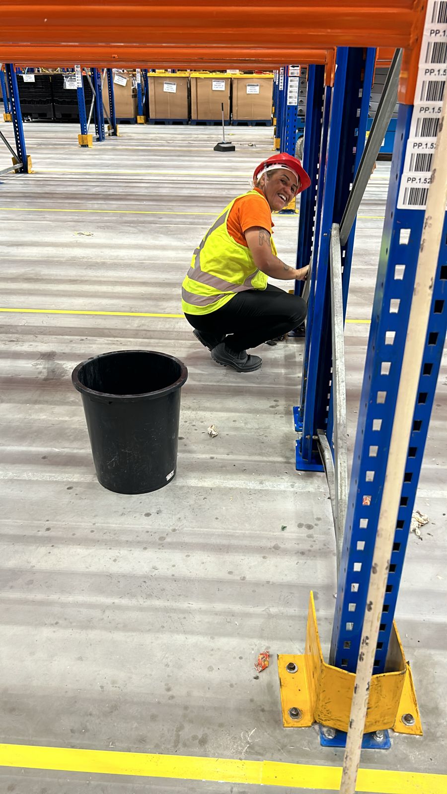 limpeza de estrutura porta pallets