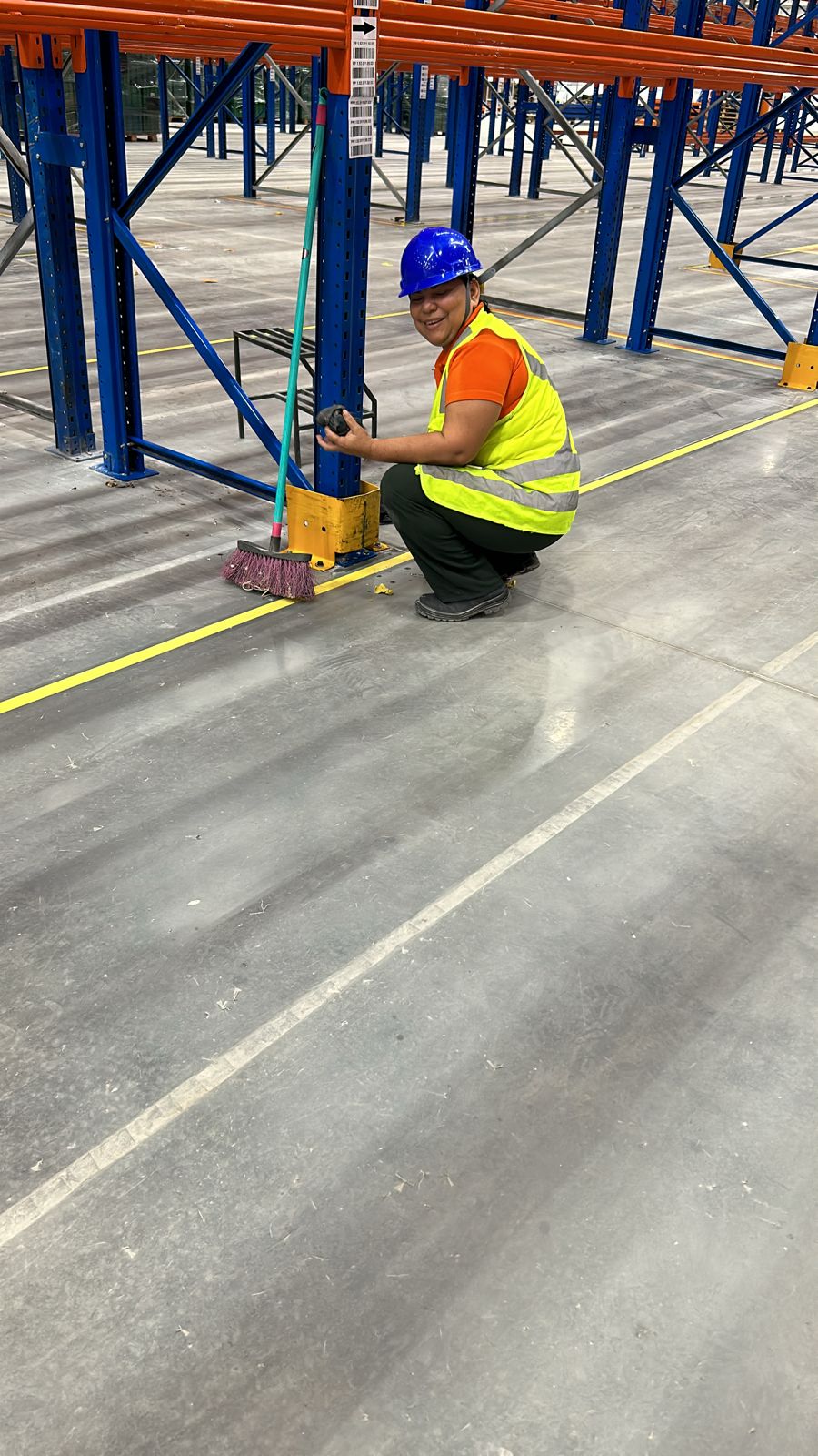 limpeza de estrutura porta pallets